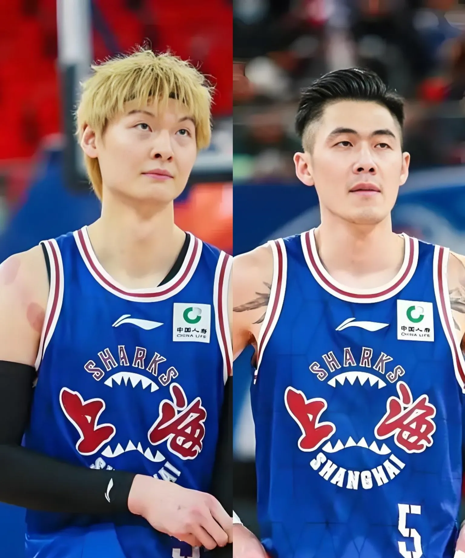 上海队翻盘山西队，王哲林点燃赛场