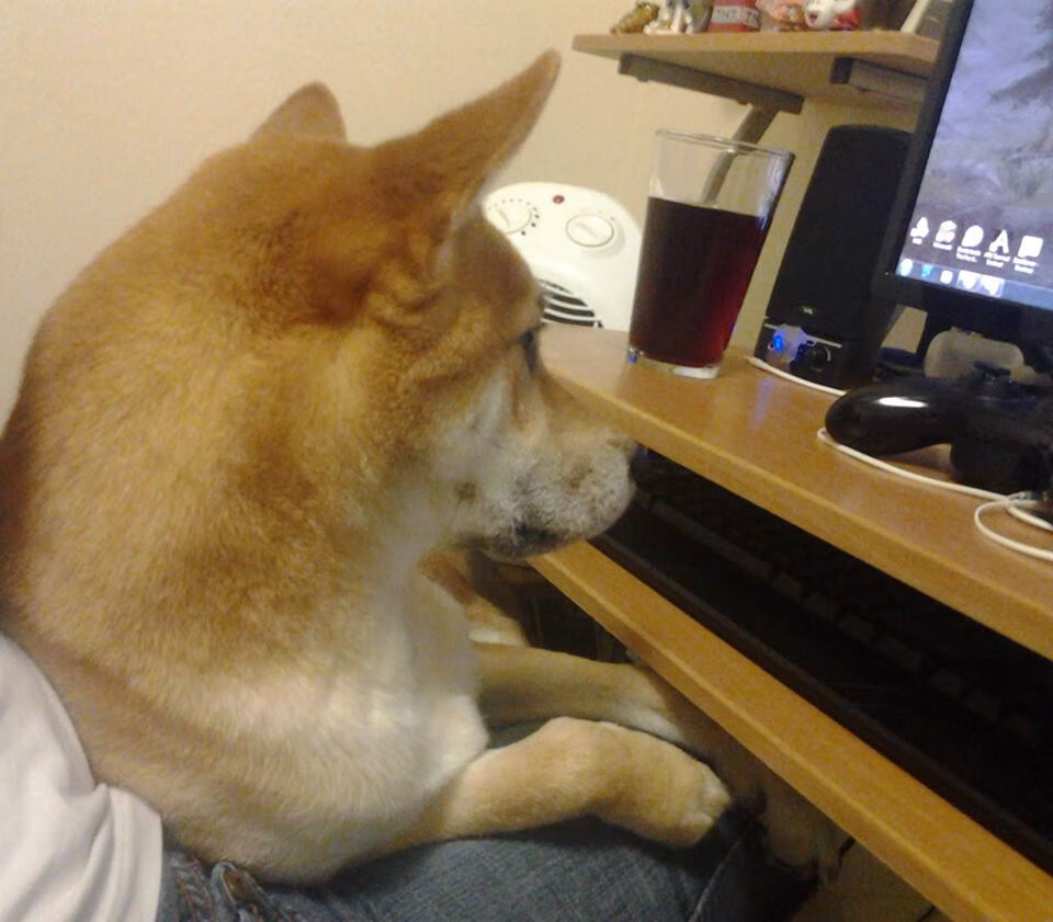 惊天逆袭!拉塞尔火热状态助威廉姆斯掀翻红牛霸权