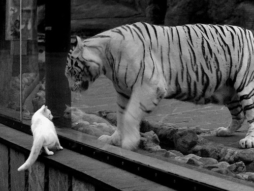 法网心魔的终结者，鲁德的美网绝杀，如何点燃了网球之魂