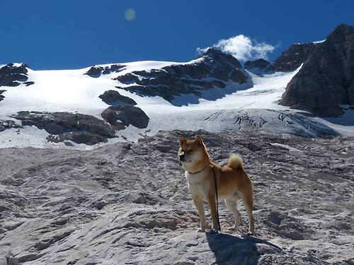 挑战者叩响新时代的门，守护者点亮旧时代的灯