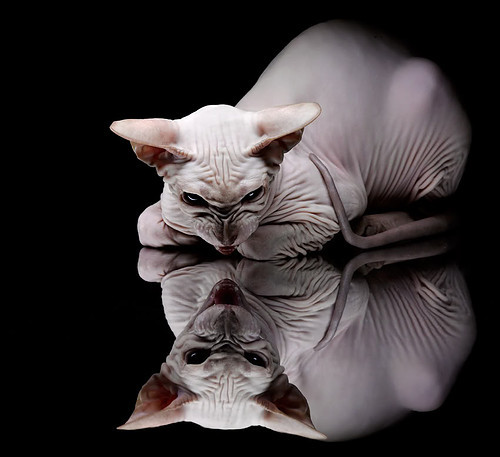 冰与火之歌，丹麦冷刃险破铁血战车，陈雨菲烈焰灼烧羽坛之巅