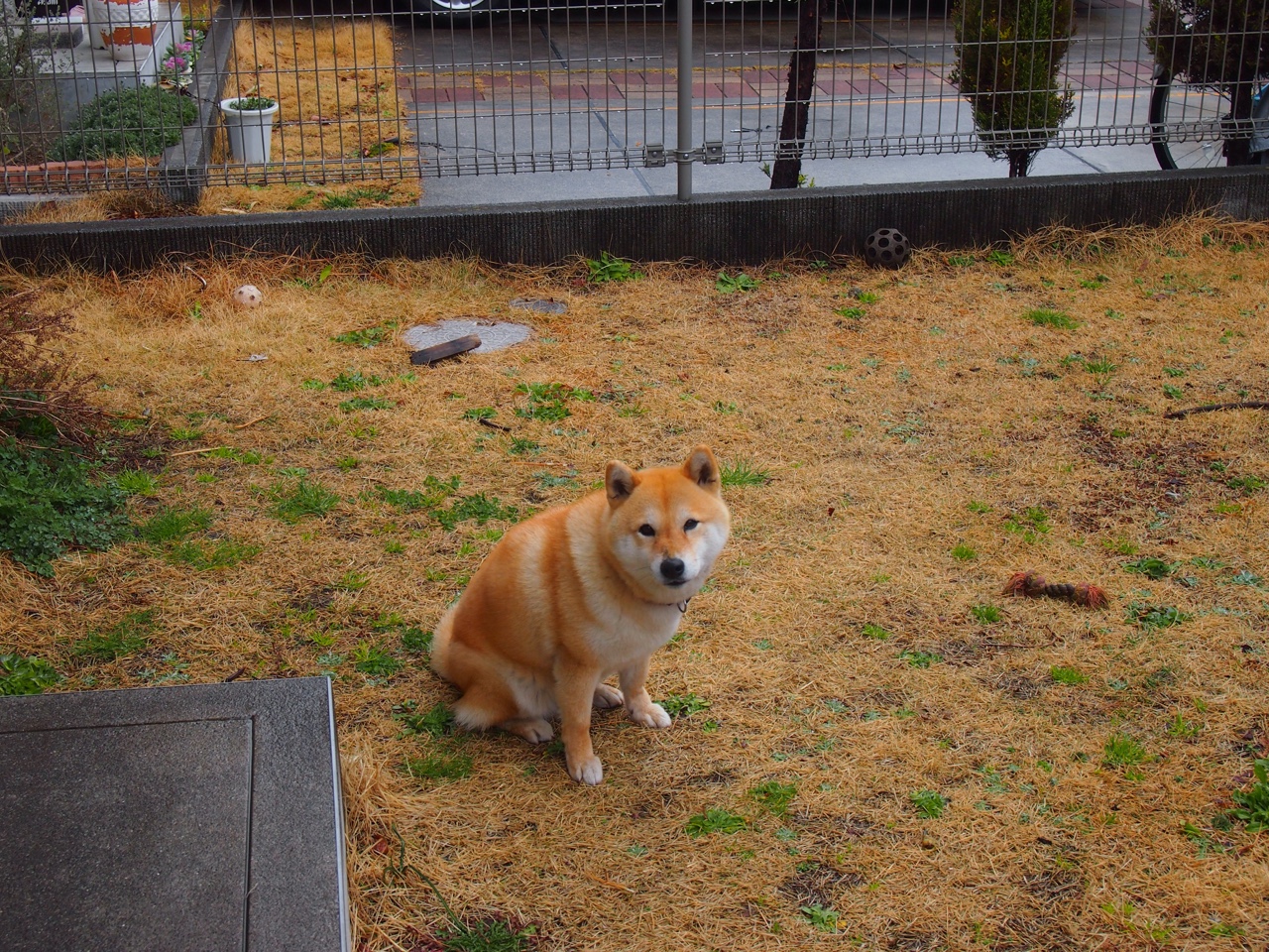 张镇麟47分射落猛龙！山西缔造队史最辉煌一战