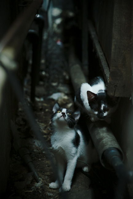 生死夜暗藏之刃，黄喜灿，从沉寂到一剑封喉