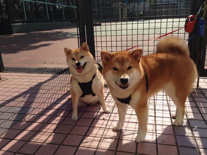 跨时空交锋，虚拟巅峰赛76人斩落辽宁队，莫兰特贡献制胜表现