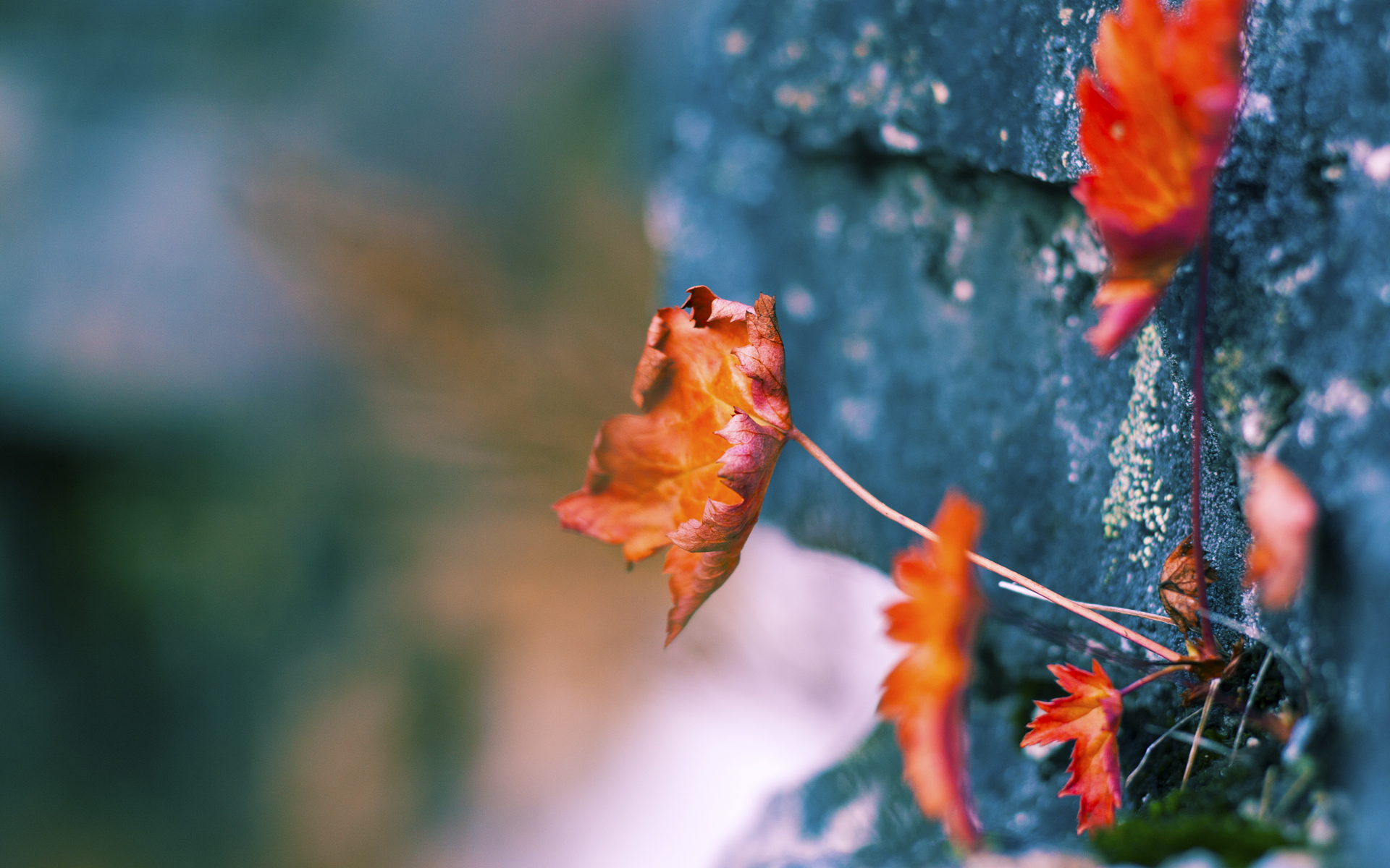 当战术机器碾过天赋，篮网的冰冷绞杀与莫兰特爆裂的生涯之夜