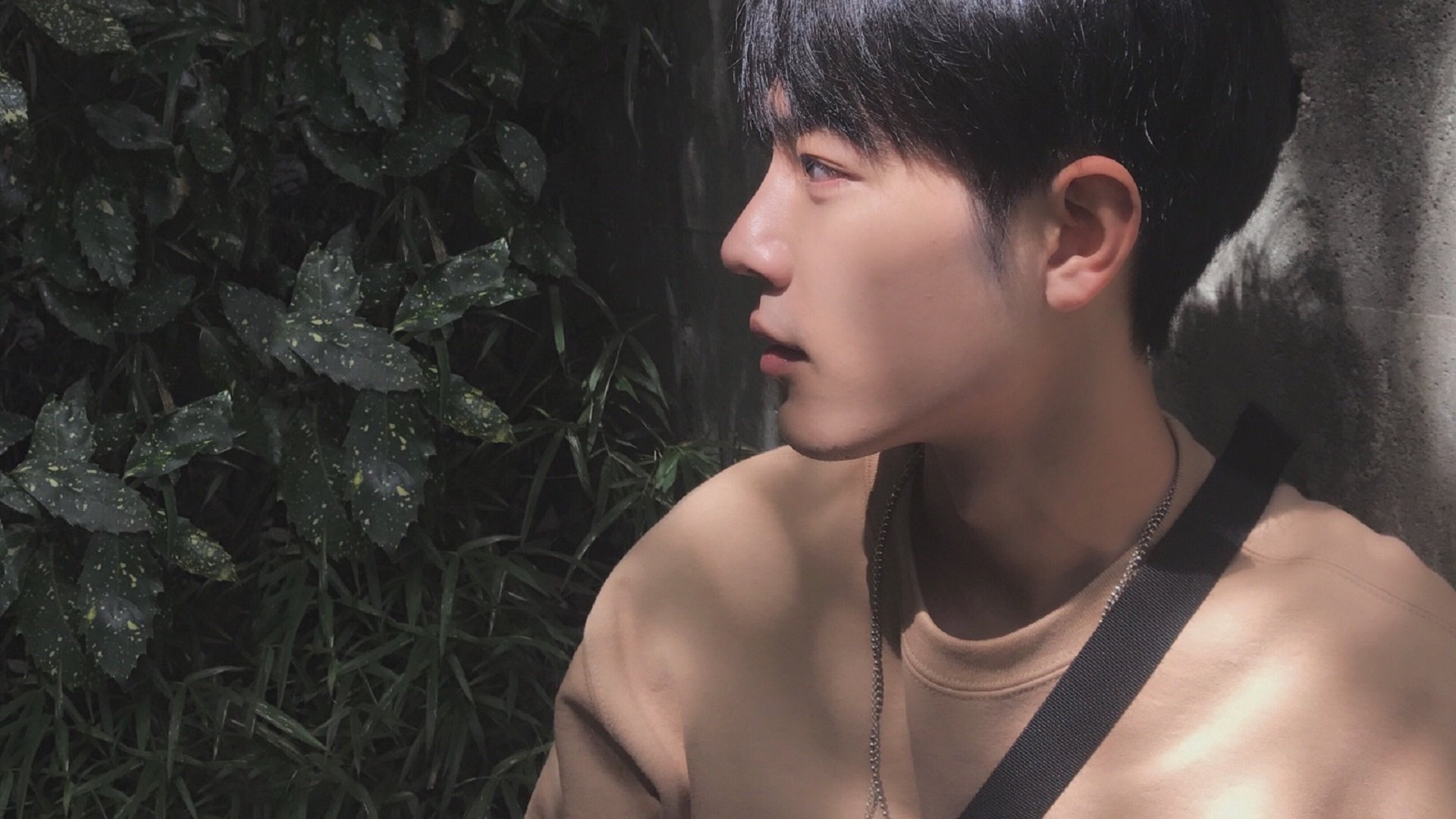 霍勒迪，暖透光点的冷兵器—当步行者与独行侠之战，决胜于无声处