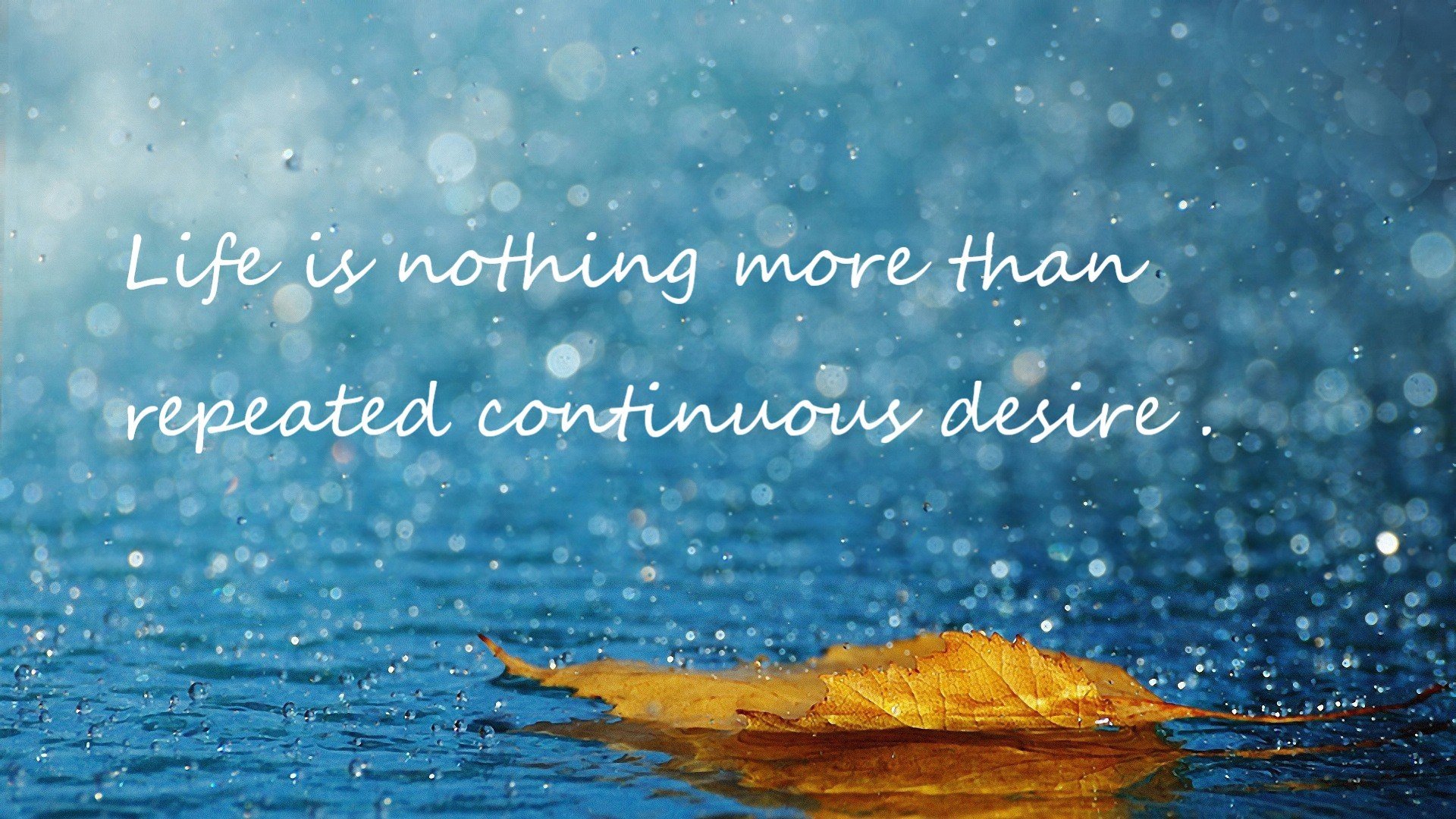 绿茵与硬木间的逆转双重奏，论哈弗茨的爆发与卡塔尔手球神话的共性启示