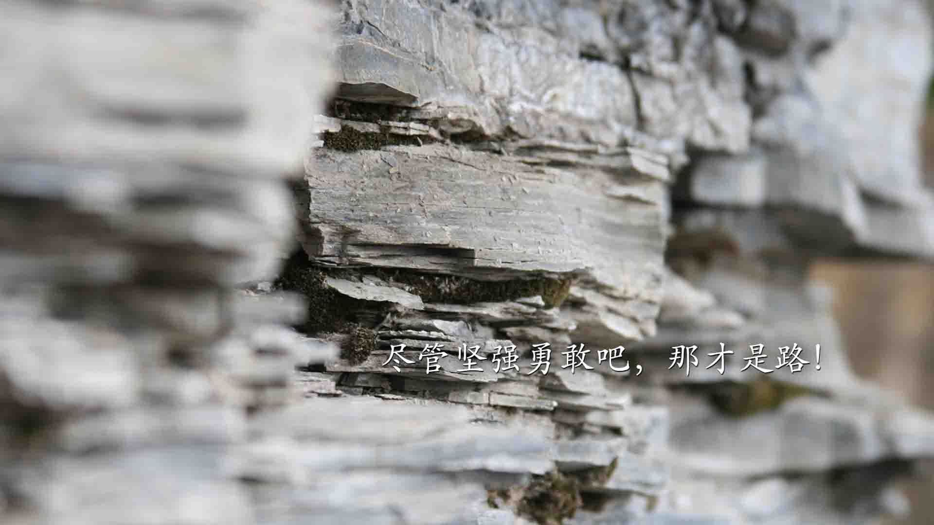 绿茵与硬木，跨越赛场的精神共振