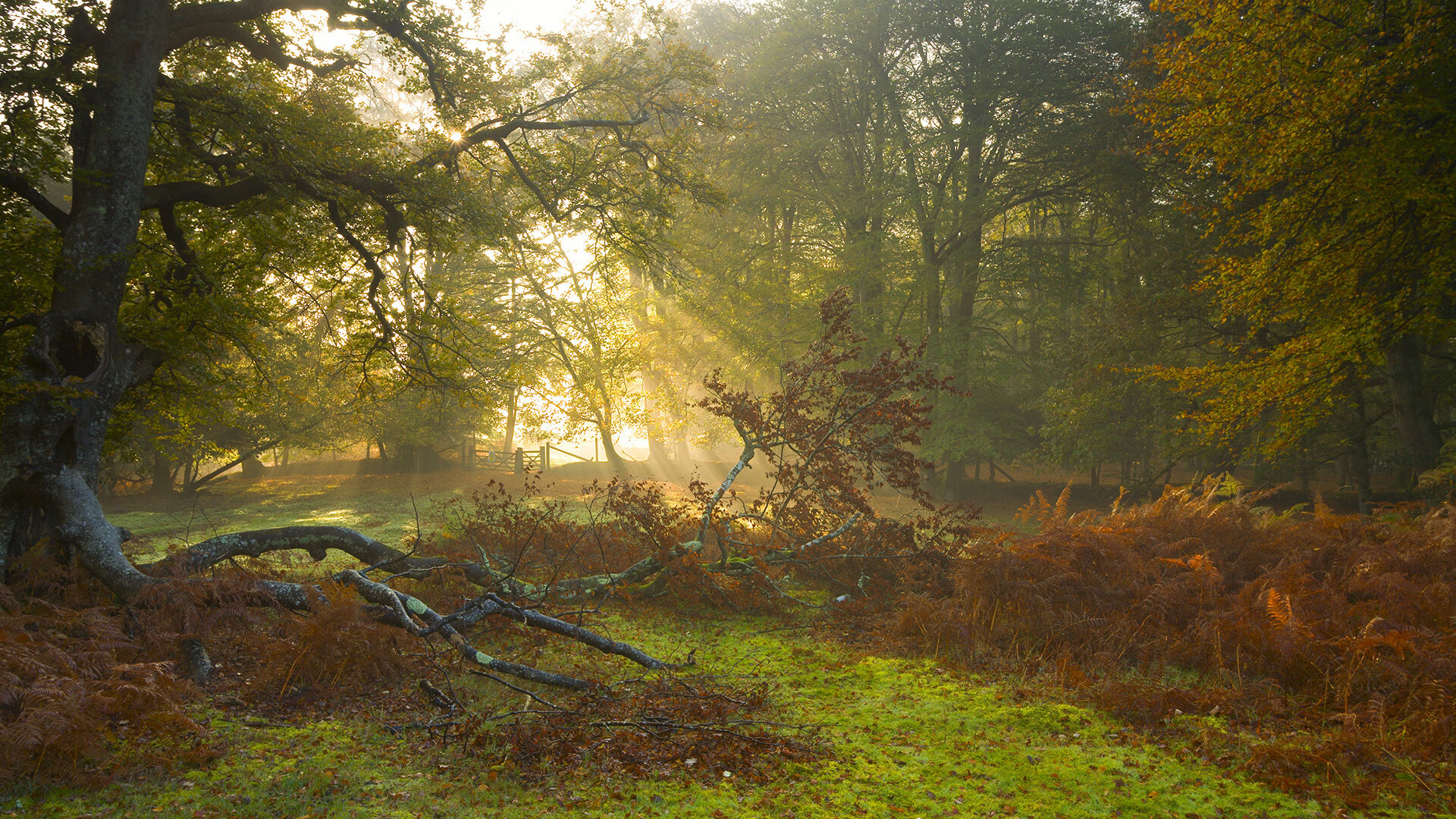当奇才用进攻风暴席卷NBA时，那个叫爱德华兹的男人在欧冠半决赛完成了终极接管