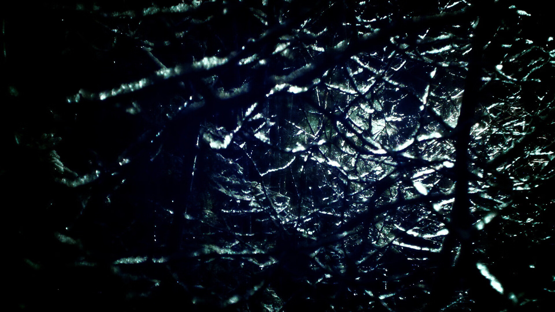 双线战场，金州铁幕封锁杜兰特，奥运前夜福克斯的接管宣言