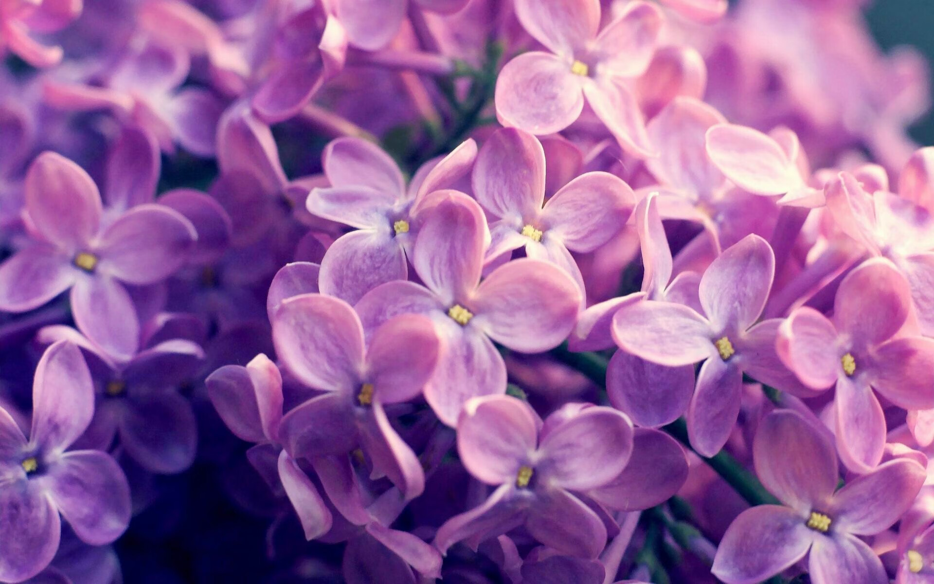 唯一之战，希腊在焦点战中击溃巴拉圭，引爆世界排名争夺战