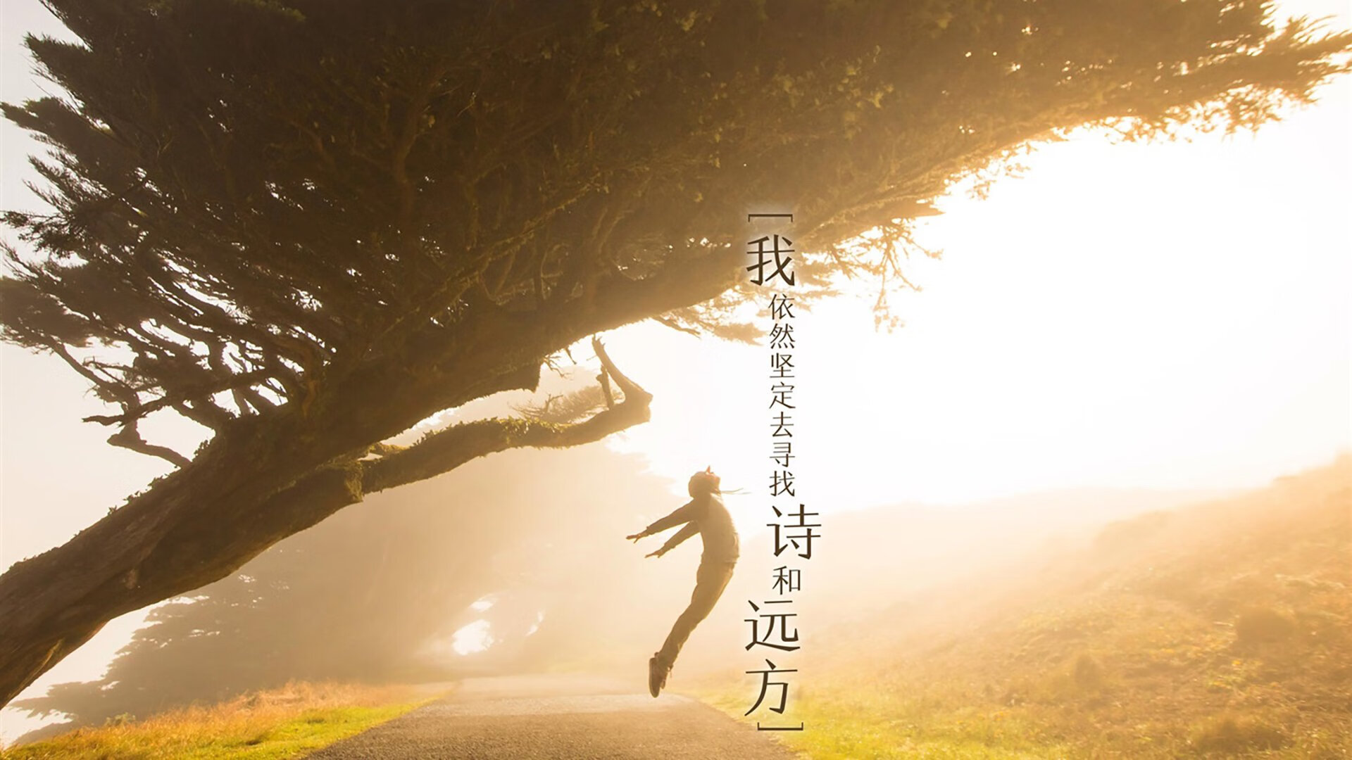 星火燎原之夜，格列兹曼点燃F1年度争冠烽火