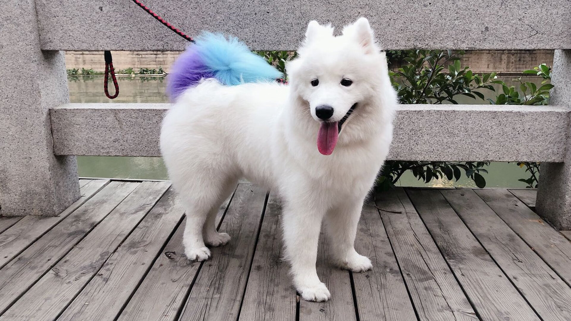 温情铁血！吉林队终结掘金，浓眉关键时刻站出来接管比赛