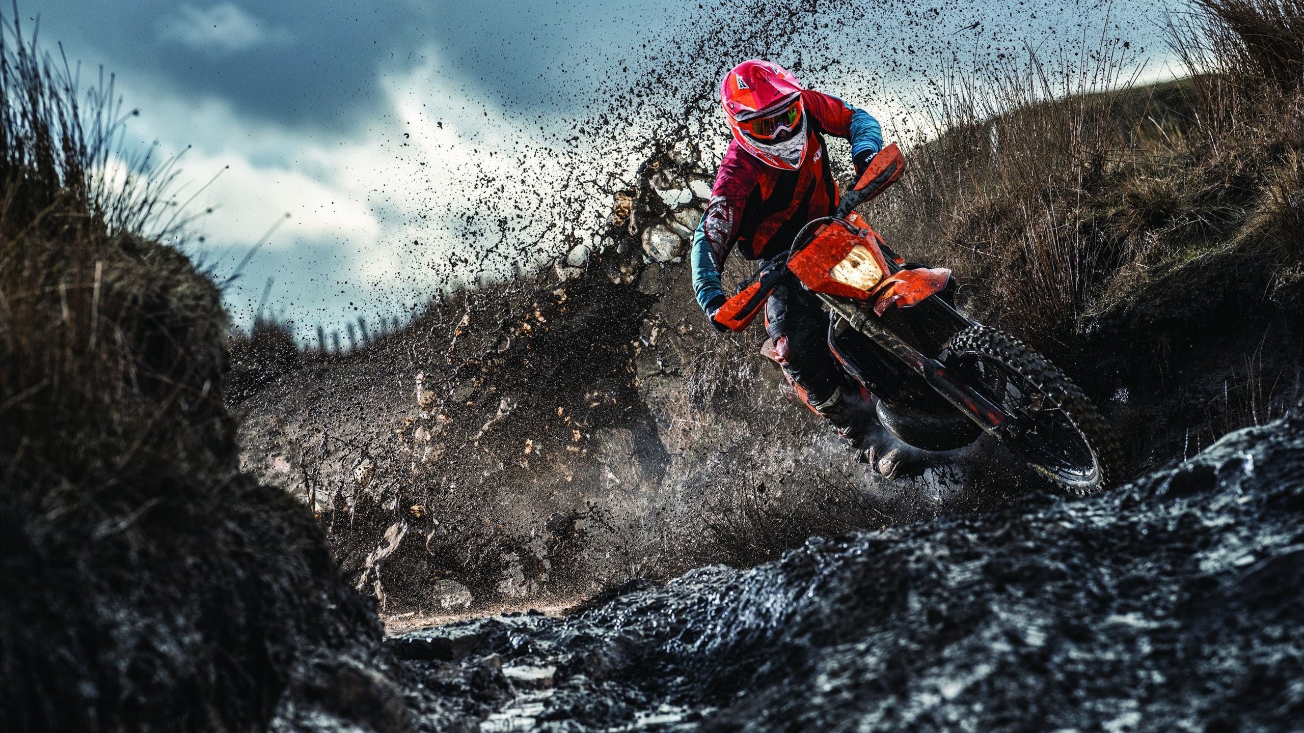 双城记，意甲焦点夜的钢铁交响与凤凰城永不熄灭的死神镰刀