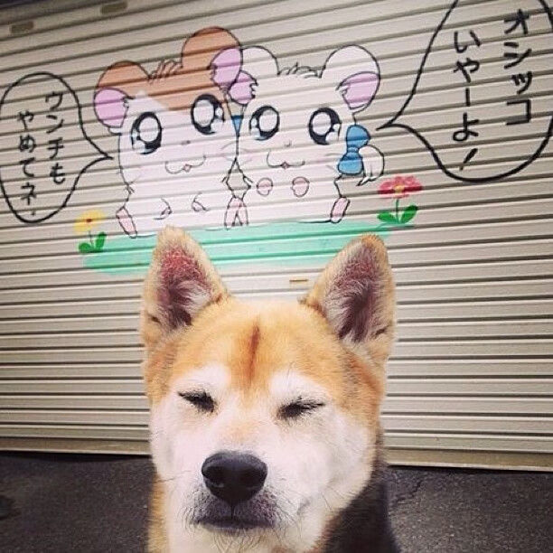 当野蛮人攻陷乌菲兹，一场艺术史上的佛罗伦萨逆转