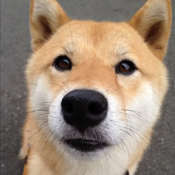 古典技艺的黄昏狙击—德罗赞致命中投，锁死魔术青春风暴