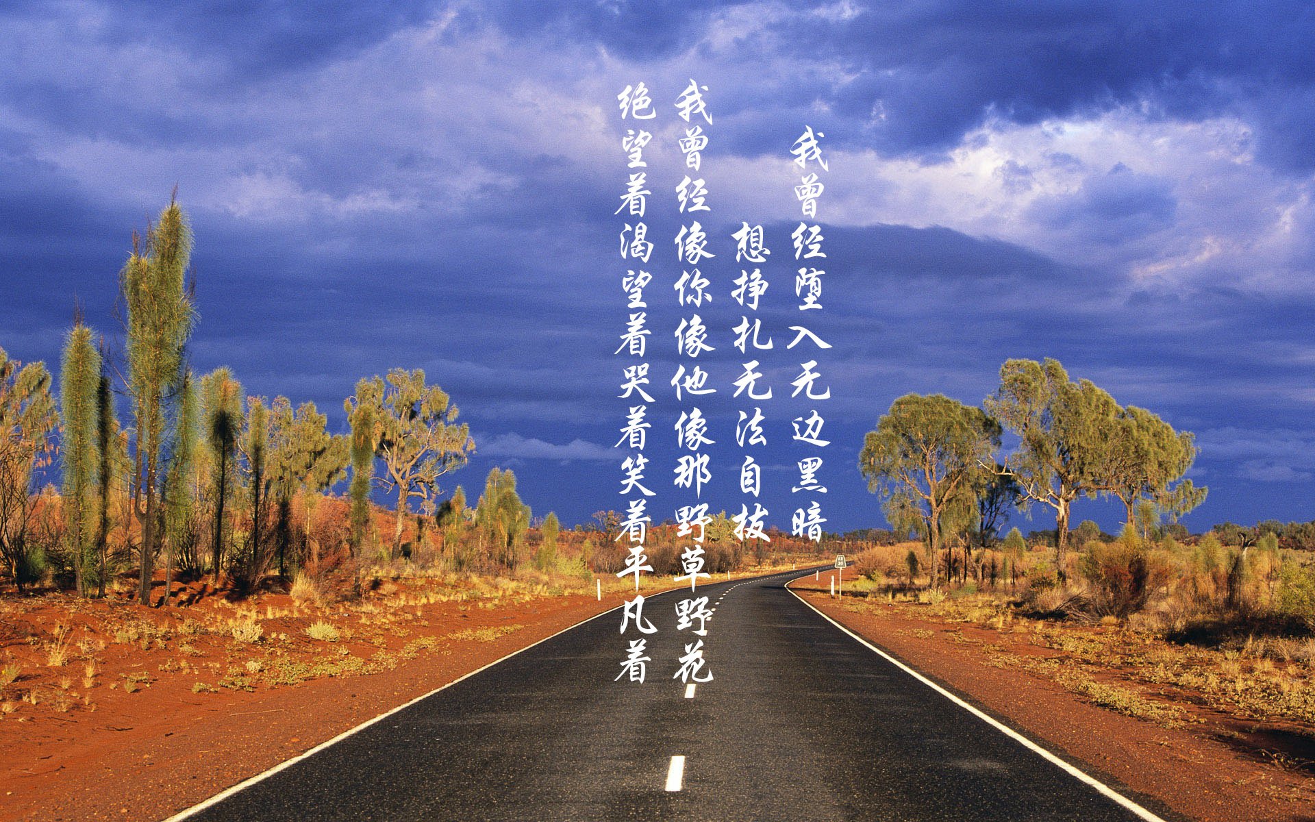 血色黎明，当莱万的孤注一掷，遇上穆西亚拉的加冕之夜—2026世界杯B组首轮，波兰四球屠戮喀麦隆的战术革命与时代交替