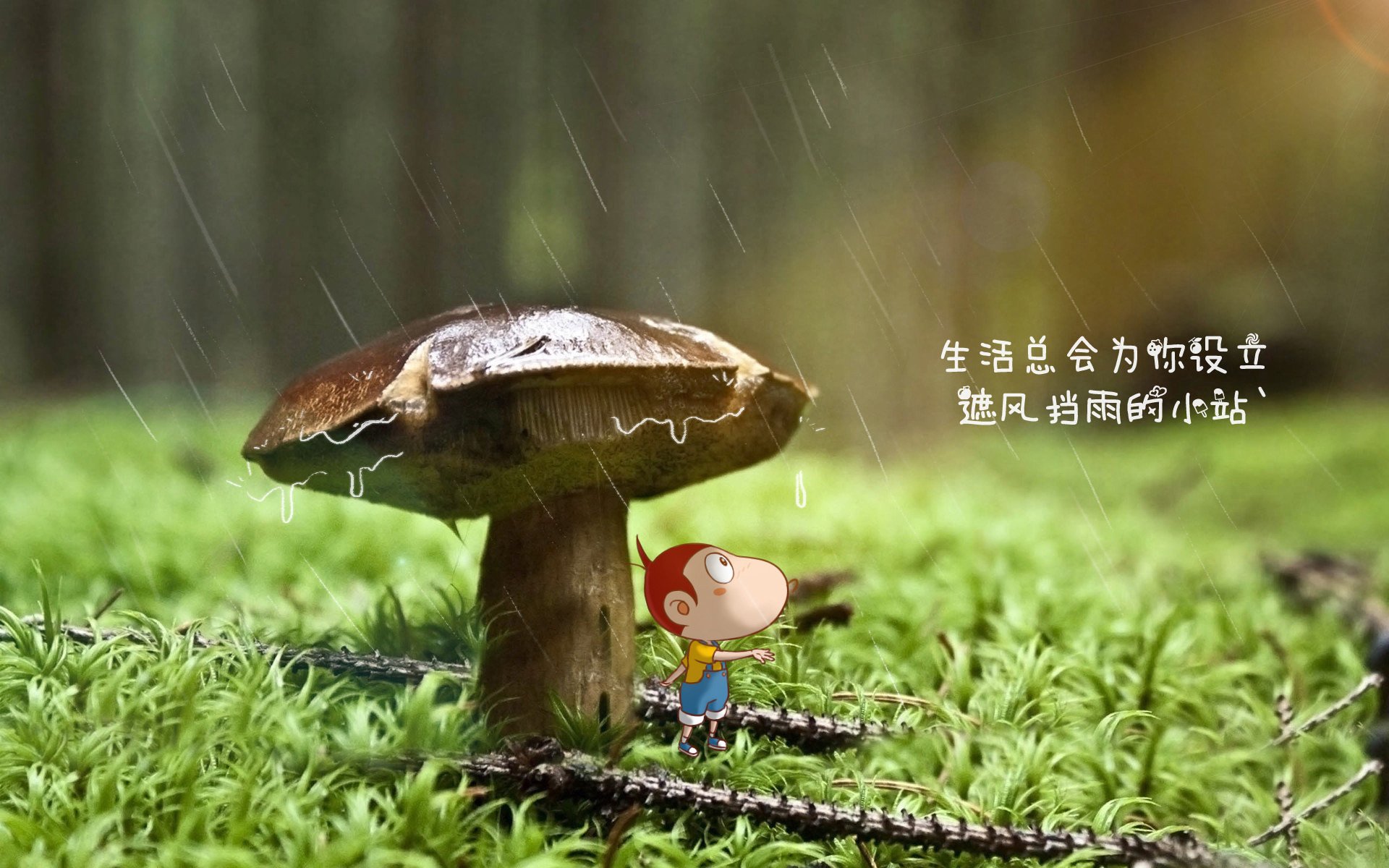 唯一性之战,当足球新大陆的脉搏,在攻守转换的刀锋上跳动